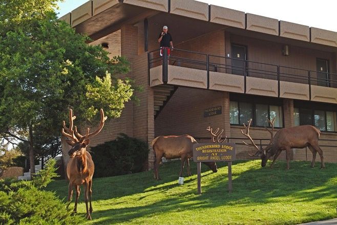 Kachina Lodge Grand Canyon Екстериор снимка